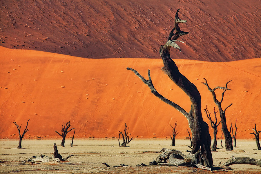 Фото жизнь (light) - PhotoSD - Намибия - Двухцветная дюна