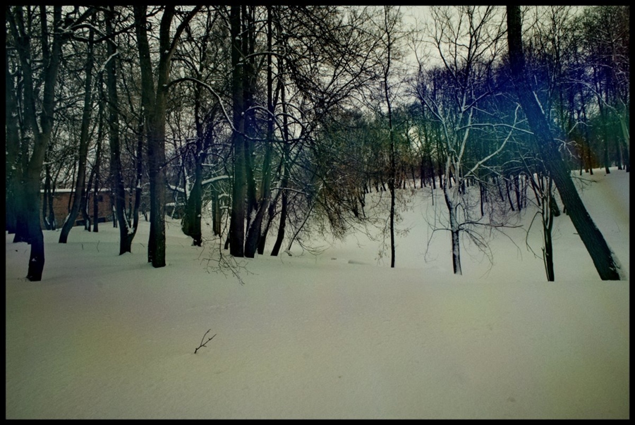 Фото жизнь