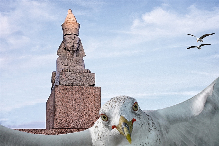 Фото жизнь