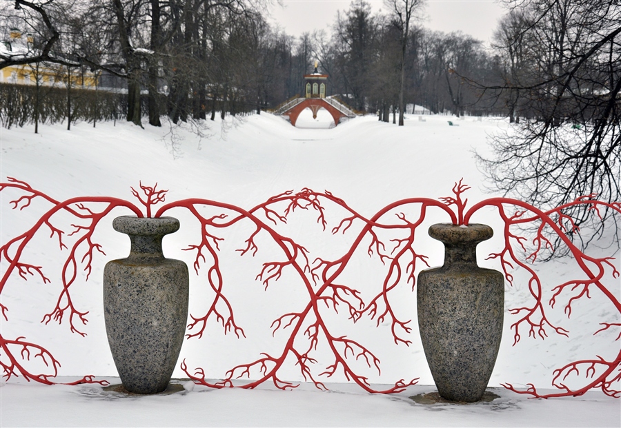 Фото жизнь