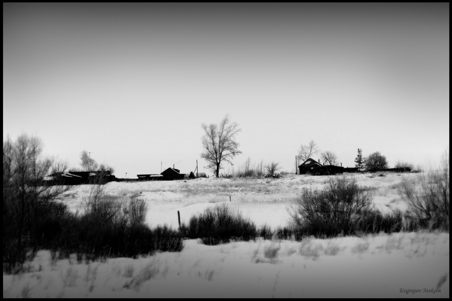 Фото жизнь