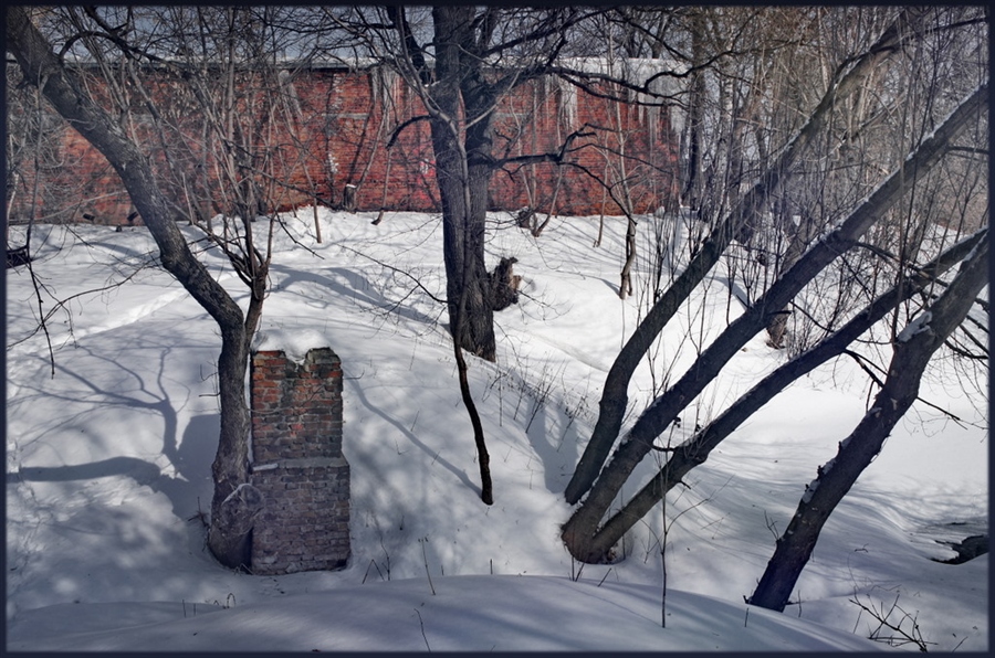 Фото жизнь