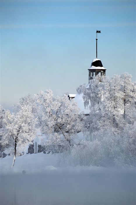 Фото жизнь