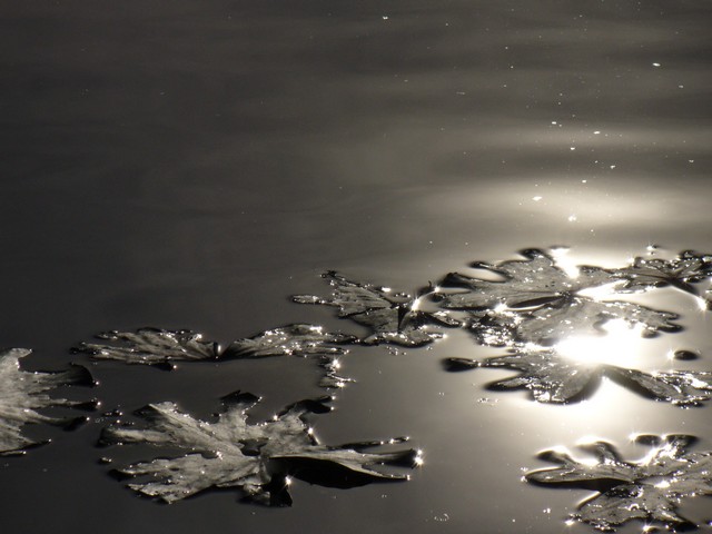 Фото жизнь (light) - Фотодуэт-Самара - корневой каталог - Монохромное озеро
