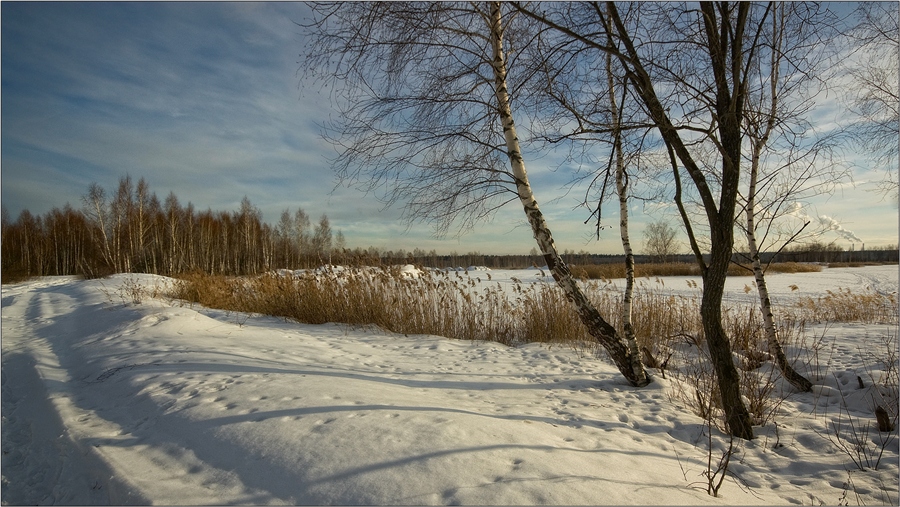 Фото жизнь