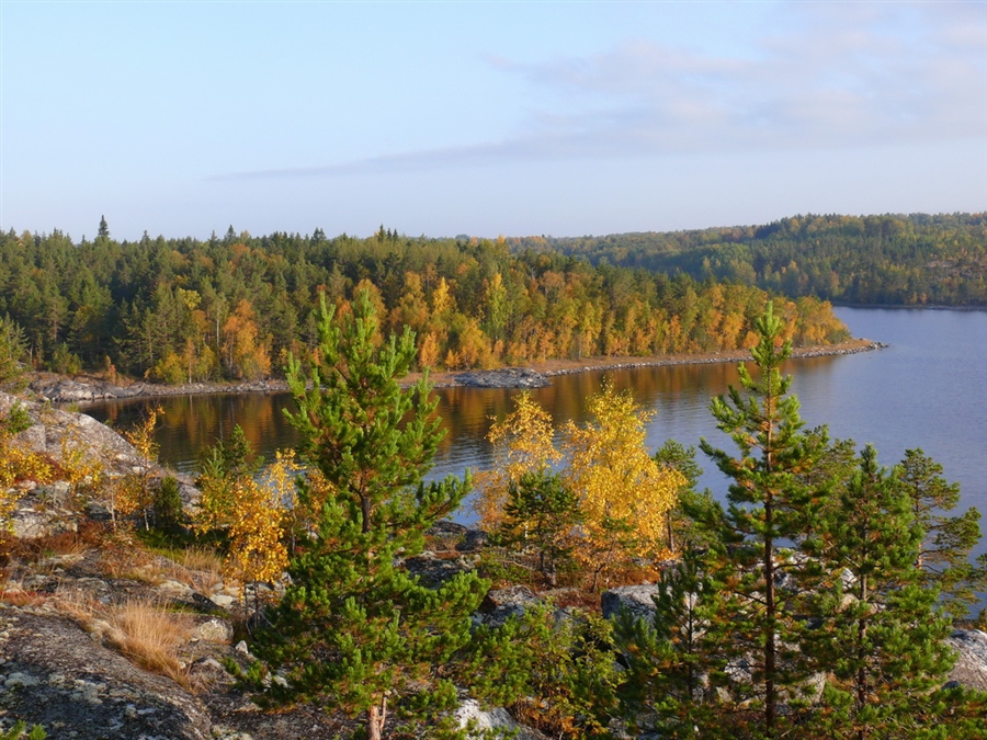 Фото жизнь