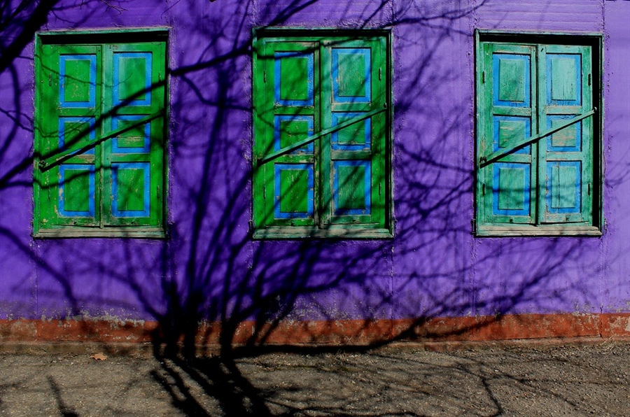 Фото жизнь