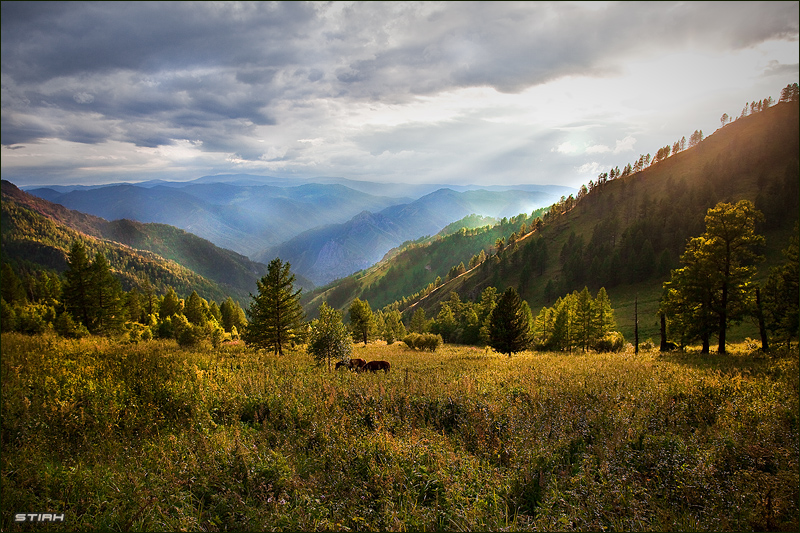 Фото жизнь