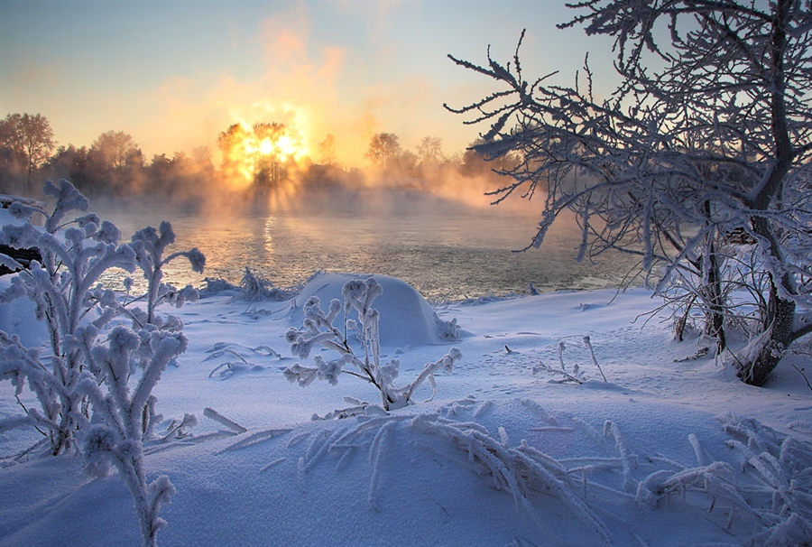 Фото жизнь