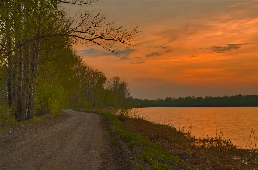 Фото жизнь