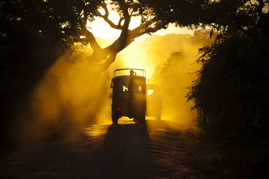 Фото жизнь (light) - PhotoSD - Цейлон -  Путешествие по Цейлону 