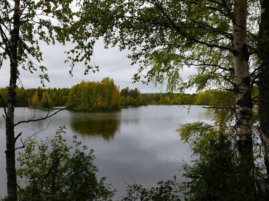 Фото жизнь