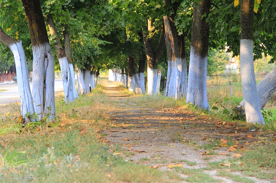 Фото жизнь