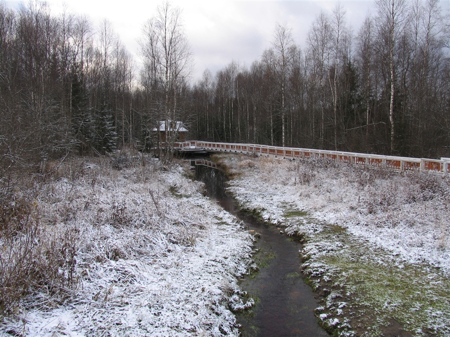 Фото жизнь