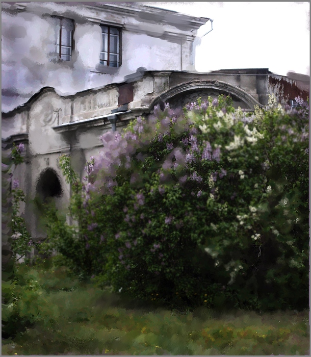 Фото жизнь