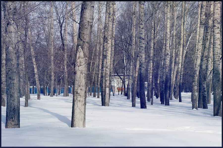 Фото жизнь