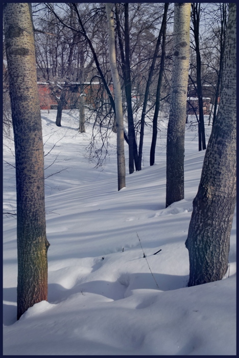 Фото жизнь