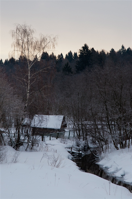 Фото жизнь