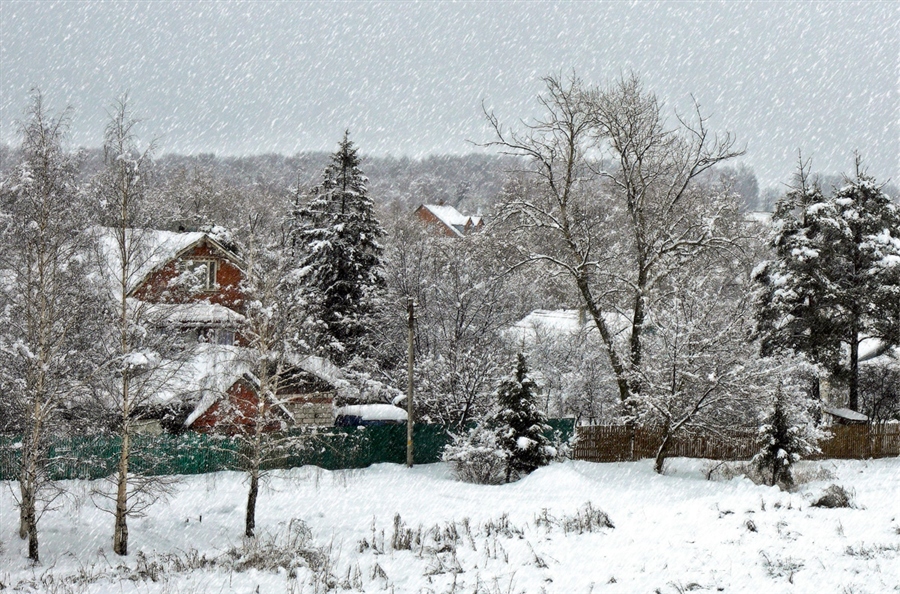 Фото жизнь