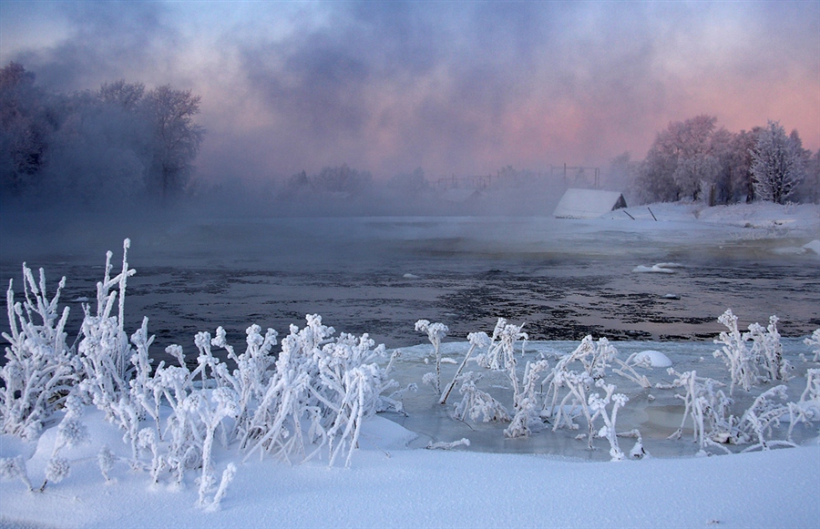 Фото жизнь