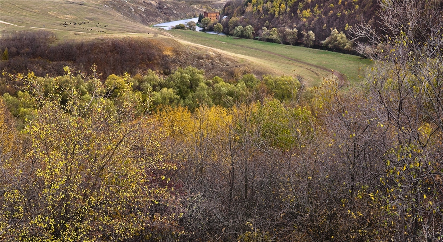 Фото жизнь