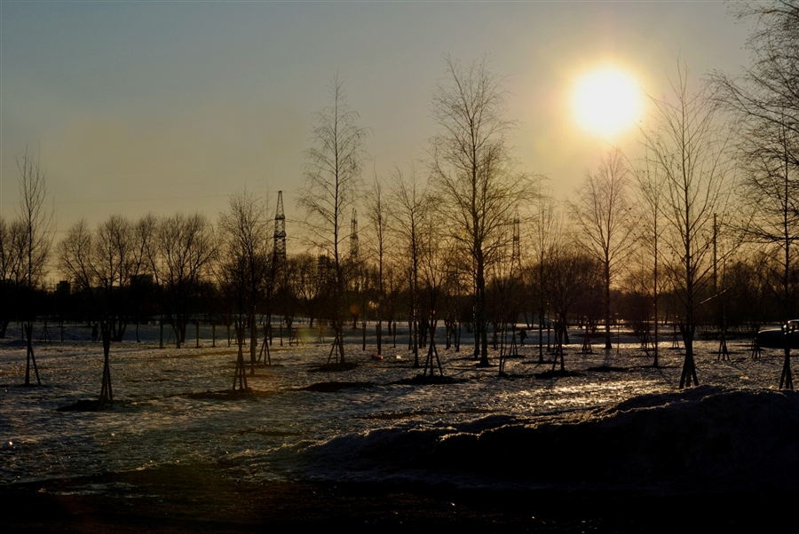 Фото жизнь
