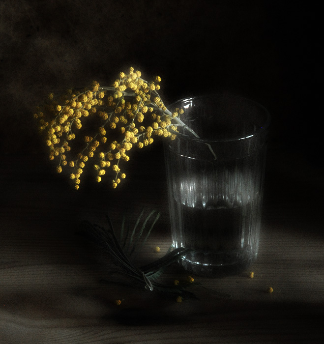 Фото жизнь (light) - Октай Гусейнов - корневой каталог - Мимоза в стакане