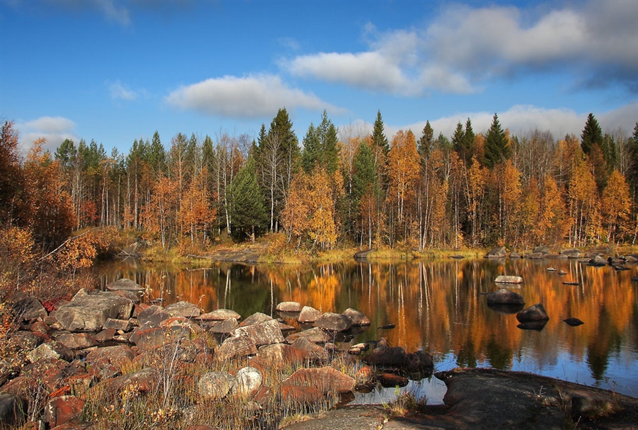 Фото жизнь