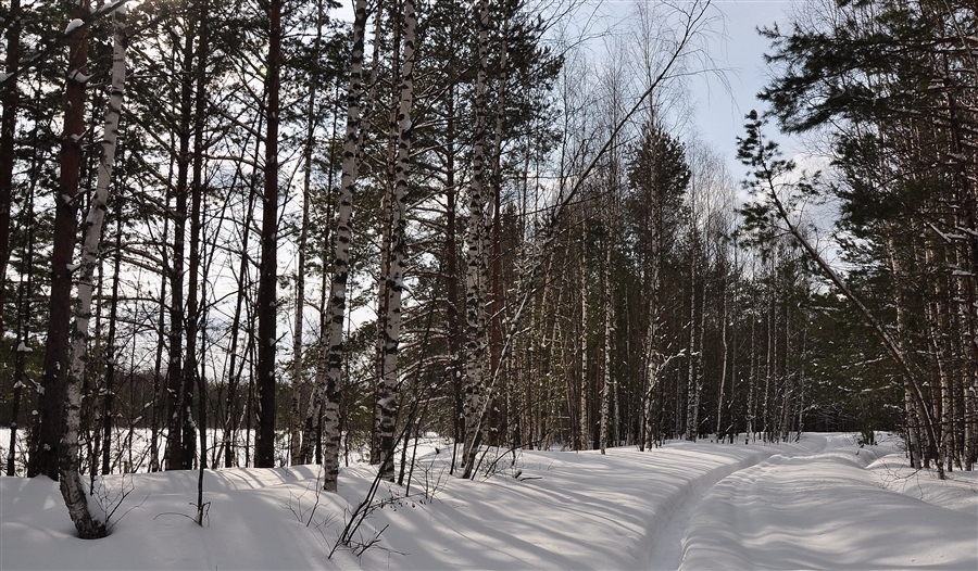 Фото жизнь