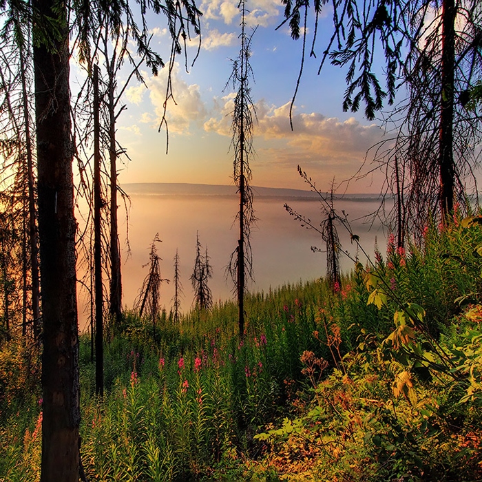 Фото жизнь