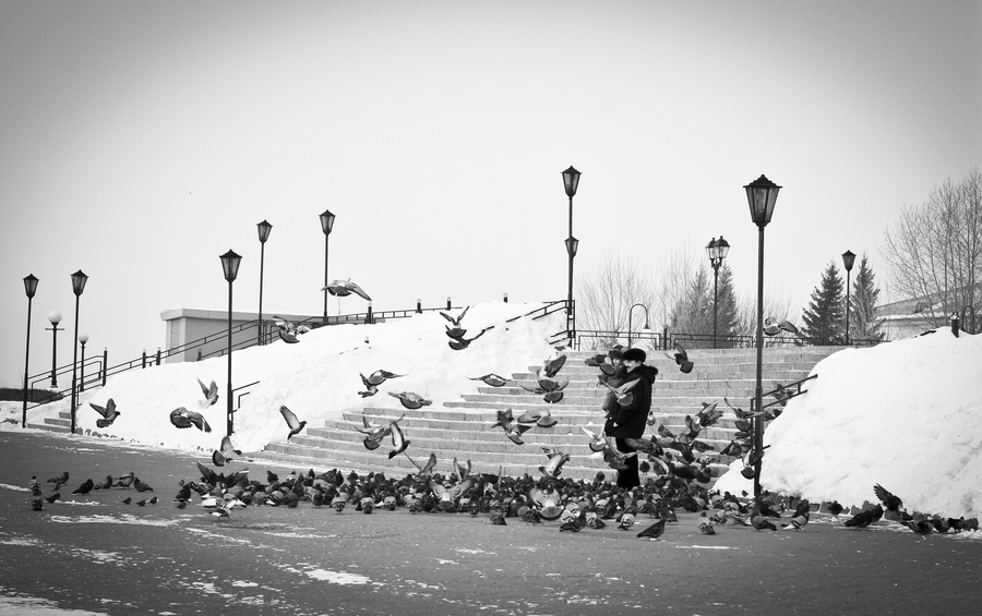 Фото жизнь (light) - IvanSidorov - корневой каталог -  child and pigeons
