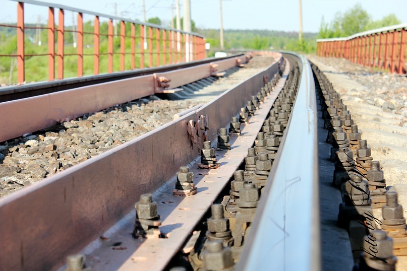 Фото жизнь (light) - JulJul - Nature - rel