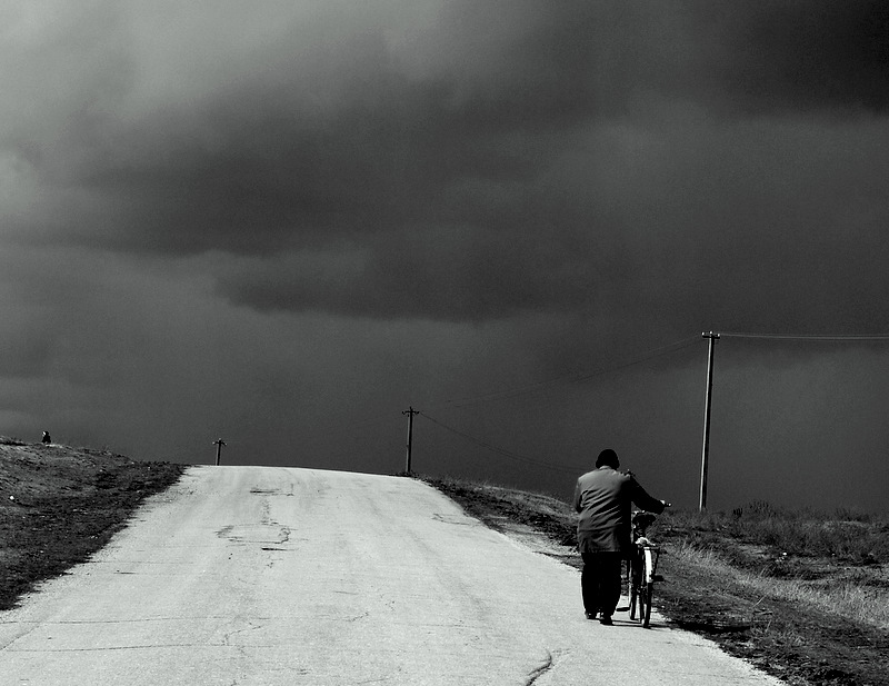 Фото жизнь (light) - Виктор Кошель - корневой каталог - Домой