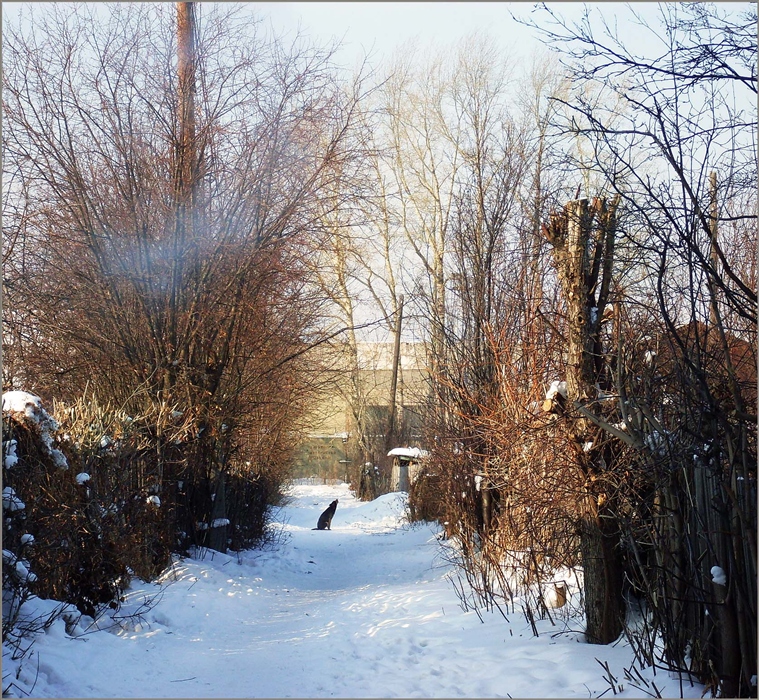 Фото жизнь
