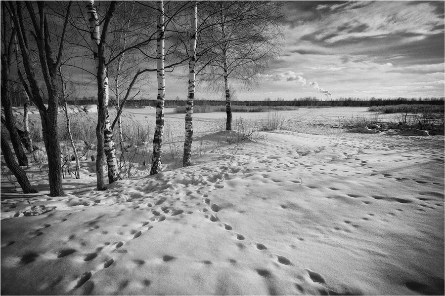 Фото жизнь