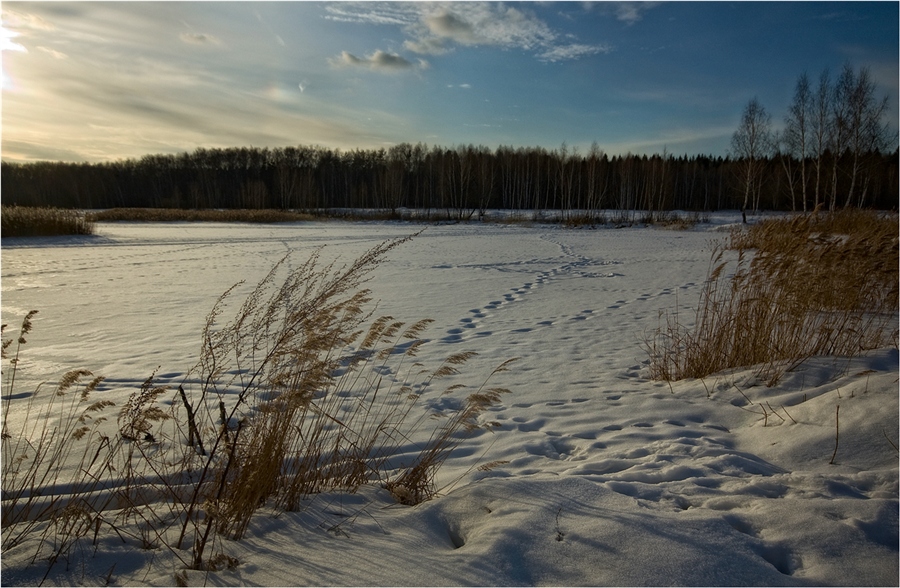 Фото жизнь