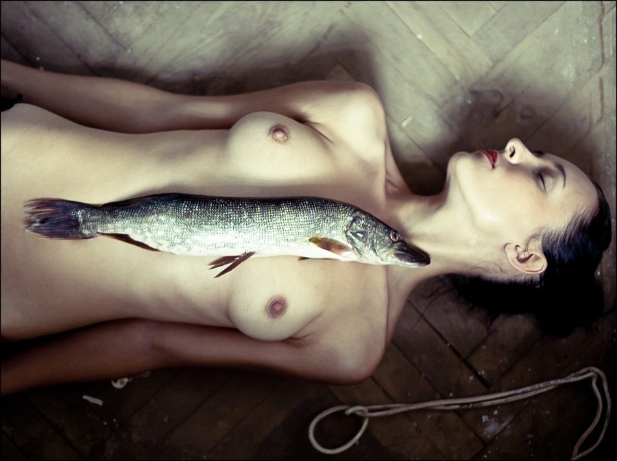 Фото жизнь (light) - h2o - корневой каталог - fish
