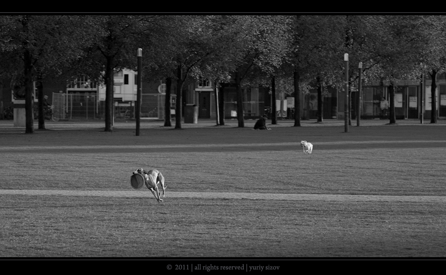 Фото жизнь (light) - Yuriy Sizov - Netherlands - Frisbee