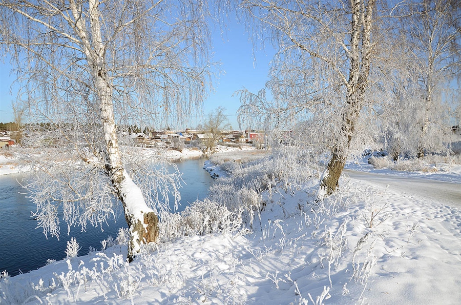 Фото жизнь