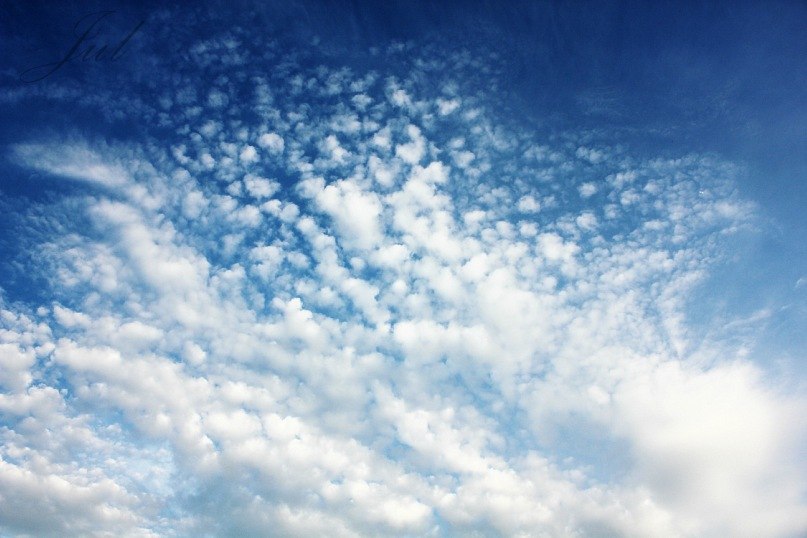 Фото жизнь (light) - JulJul - Nature - ***