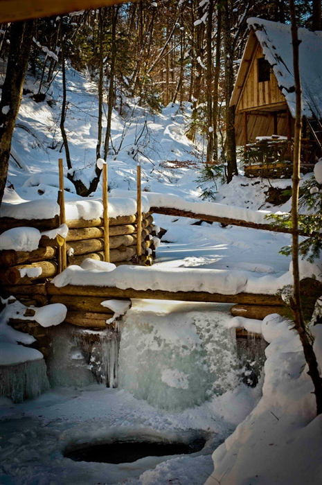 Фото жизнь