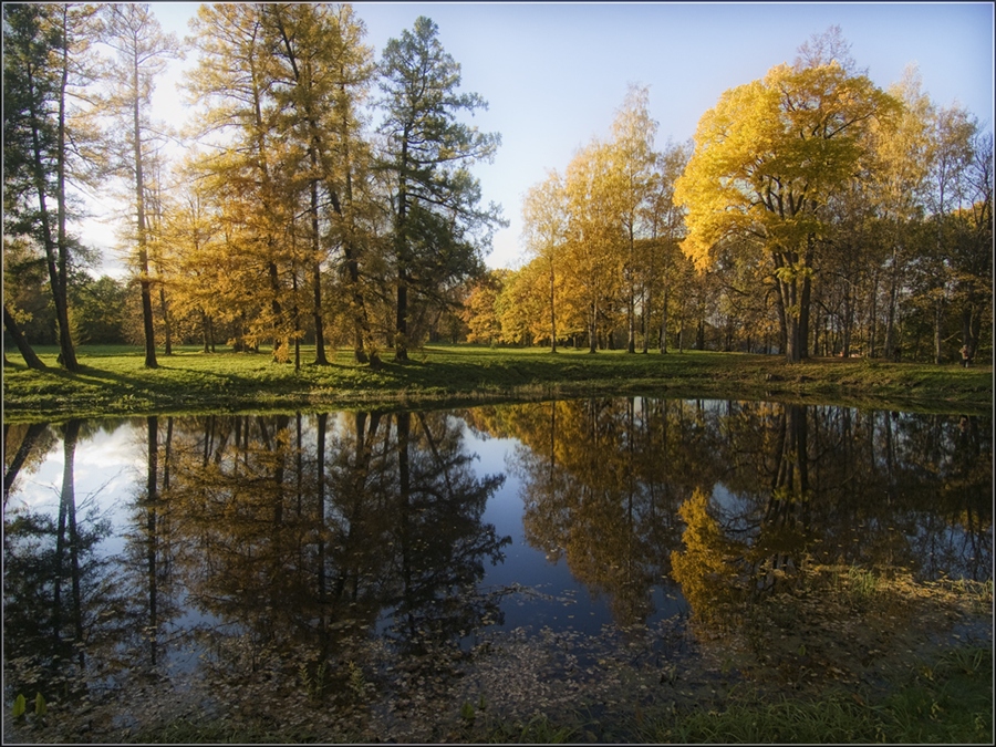 Фото жизнь