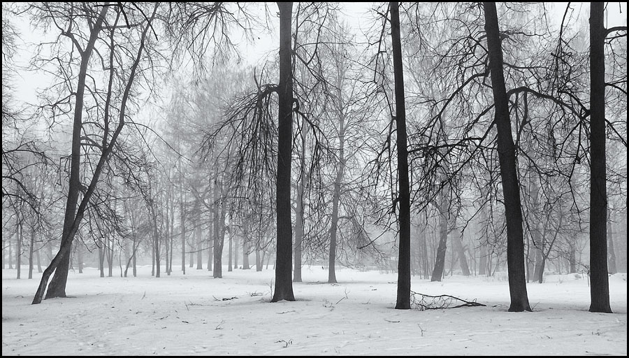 Фото жизнь (light) - Павел Мишарин - корневой каталог - туман