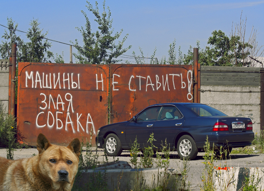 Фото жизнь