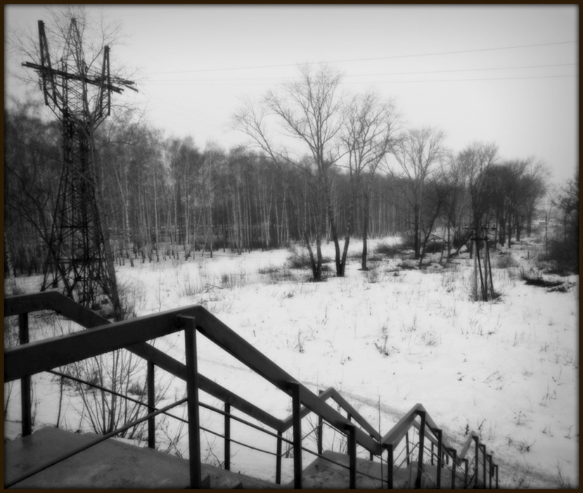 Фото жизнь