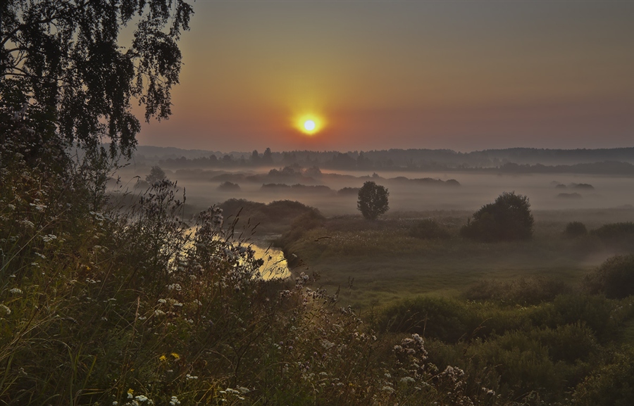 Фото жизнь