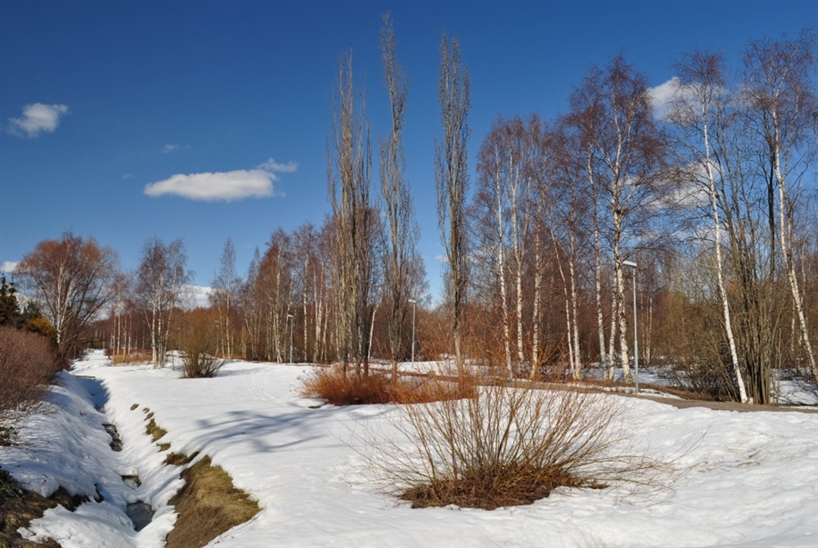 Фото жизнь