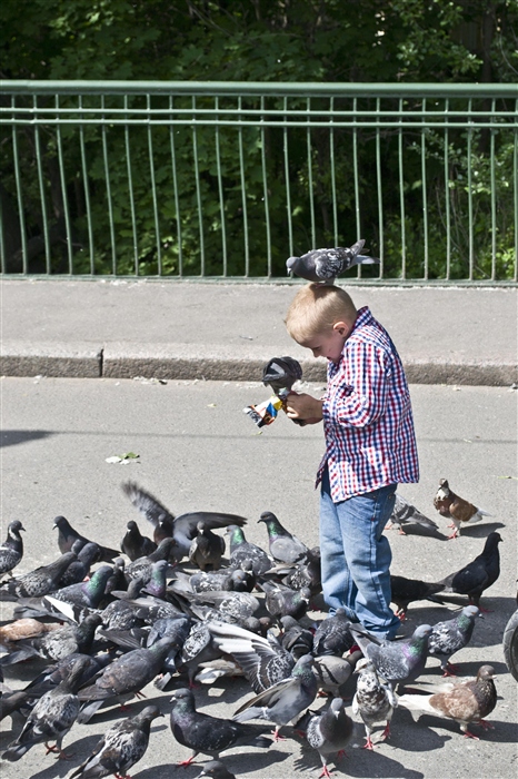 Фото жизнь