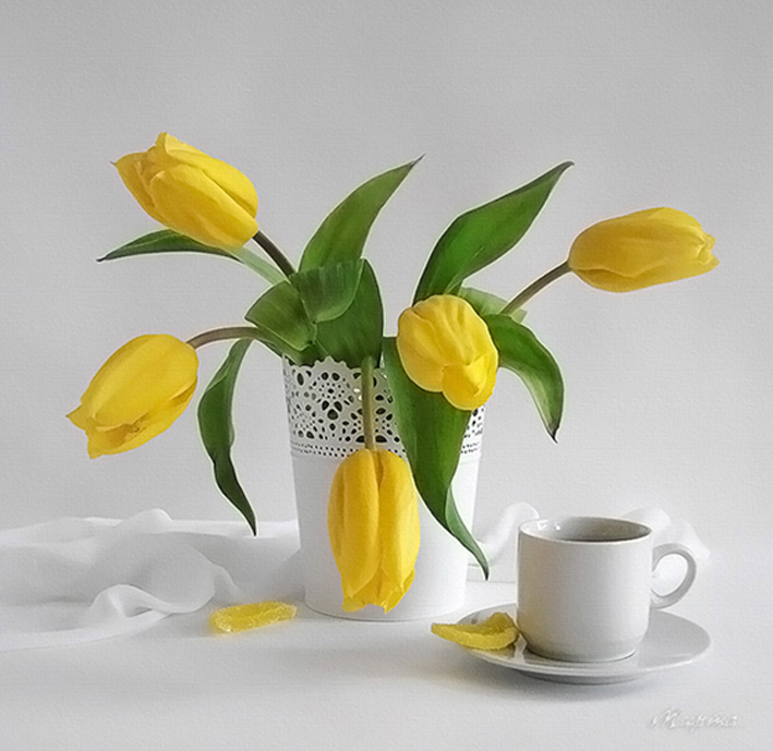 Доброе Утро Тюльпаны Фото