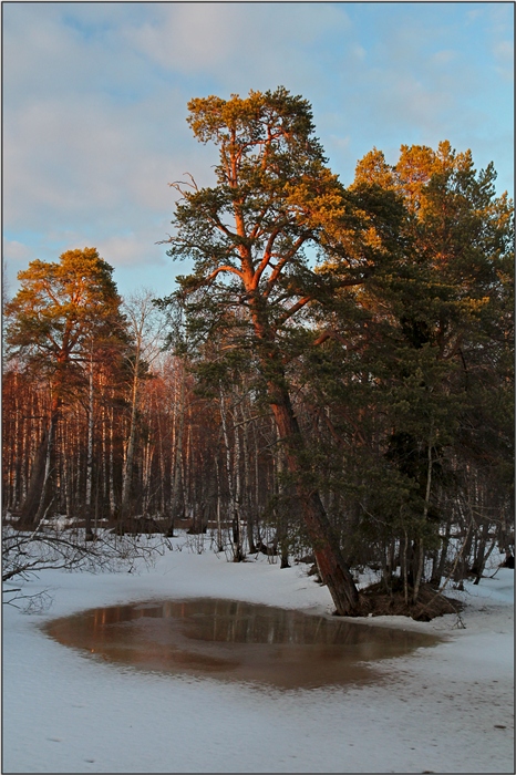 Фото жизнь